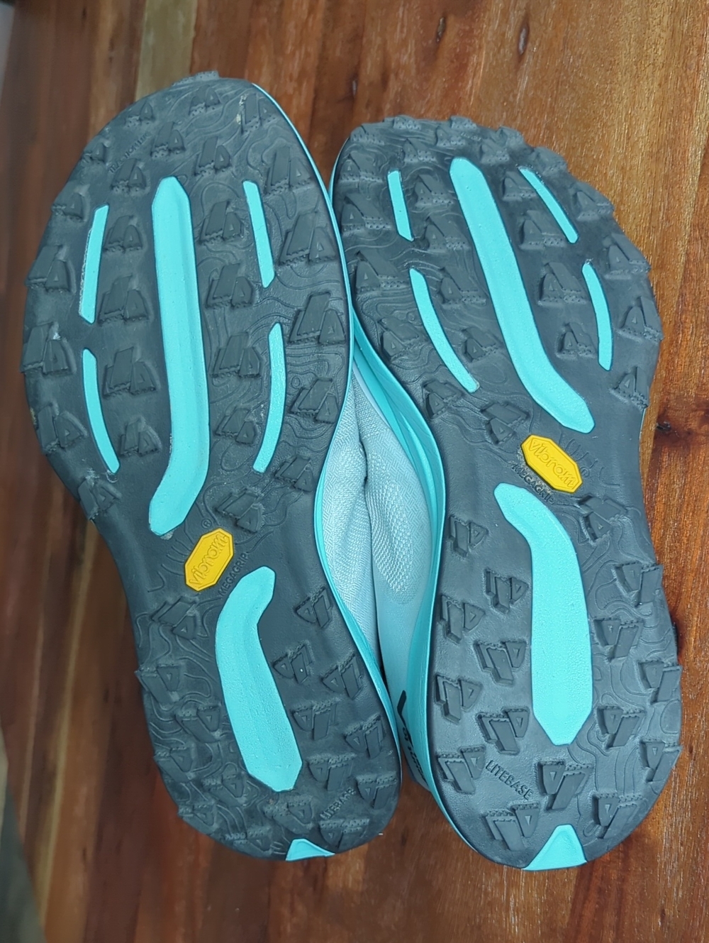 Mount To Coast T1 Hiking Trail Shoe - Snow Line - Picture 11 of 14